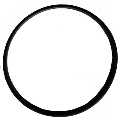 ANEL DE VEDAÇÃO DO COLETOR 450ML Gimenez