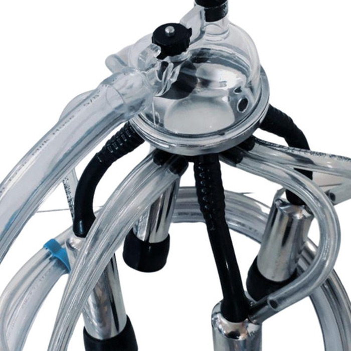 Conjunto De Ordenhar Duplo, Ordenha 2 Vacas Juntas