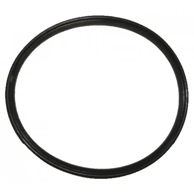 Anel de vedação do lavador automático WF